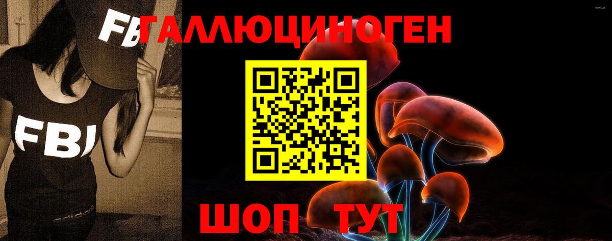 Галлюциногенные грибы прущие грибы Шарыпово